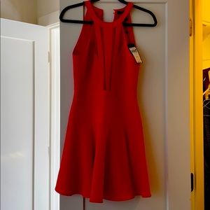 BCBG brand new Tatyanna Dress!